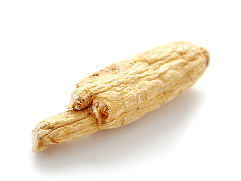 Aralia root for strength